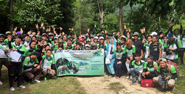 國立公園の環境整備の様子